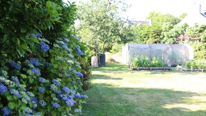 A garden with a hedge of blue hydrangeas, a wooden bench, and a greenhouse.