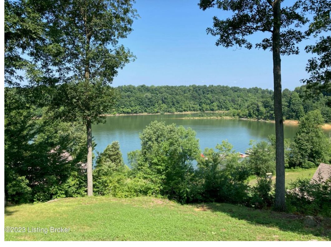 A lake surrounded by trees and grassy areas.