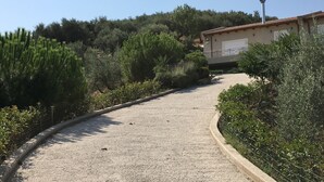 Unclassified image, 5 of 23, button - A beautiful olive orchard with mountain and sea view,ideal for a relaxing break  (Ziria)