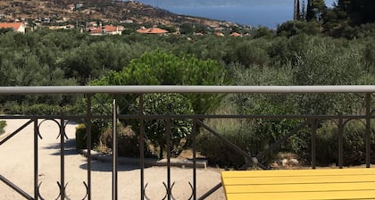 A beautiful olive orchard with mountain and sea view,ideal for a relaxing break