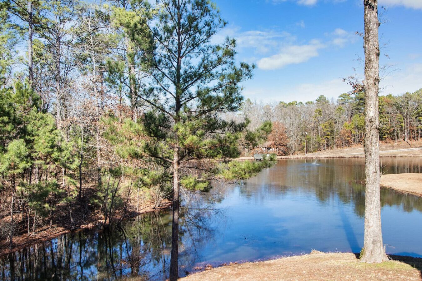 A serene lakeside scene with dense trees and a calm water body.