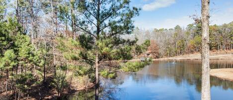 A serene lakeside scene with dense trees and a calm water body.