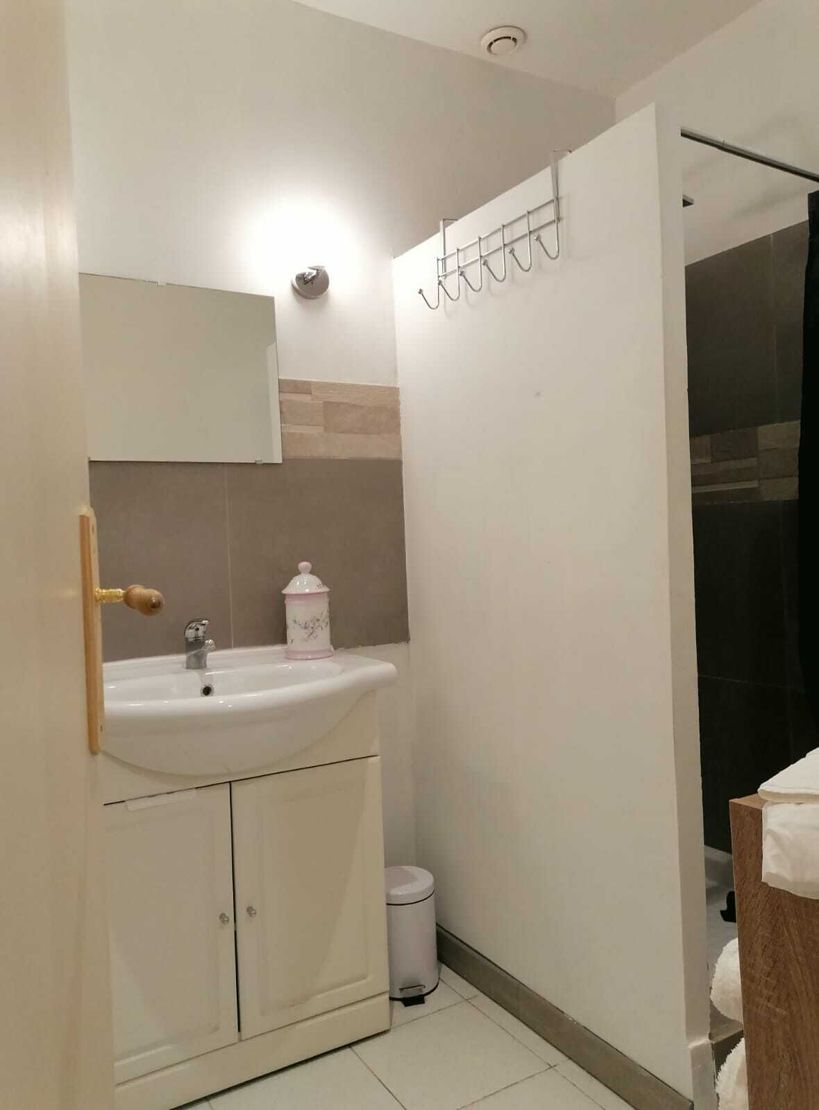 A bathroom with a white sink, a mirror, a small trash bin, and a towel rack.