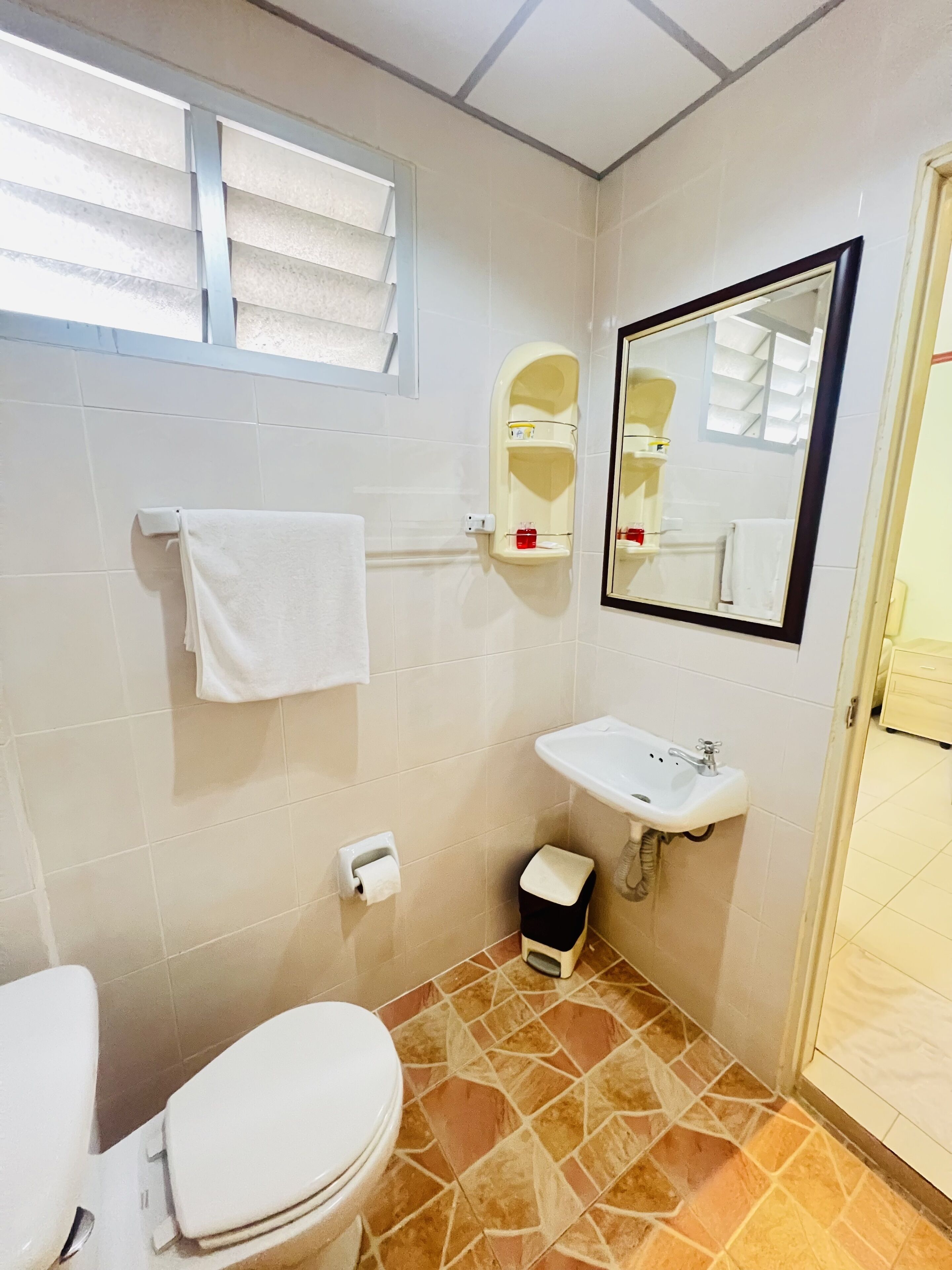 Un baño con inodoro, lavamanos y espejo. Hay un perchero y un cubo de basura pequeño.