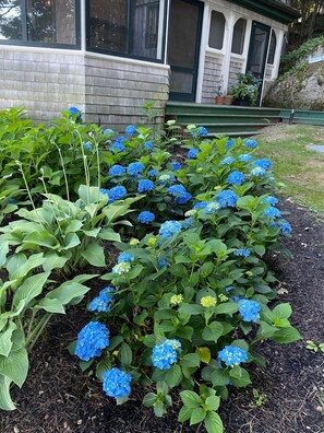 Exterior detail - Lakefront Cottage with AC Near Bar Harbor on 8 acres (Orland)