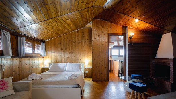 Una cabaña de madera con un dormitorio en el entrepiso, una chimenea y una zona de estar acogedora.