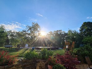 Oklassificerad bild, 4 av 17, knapp