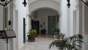 A corridor with white walls, a tiled floor, and a balcony with potted plants.