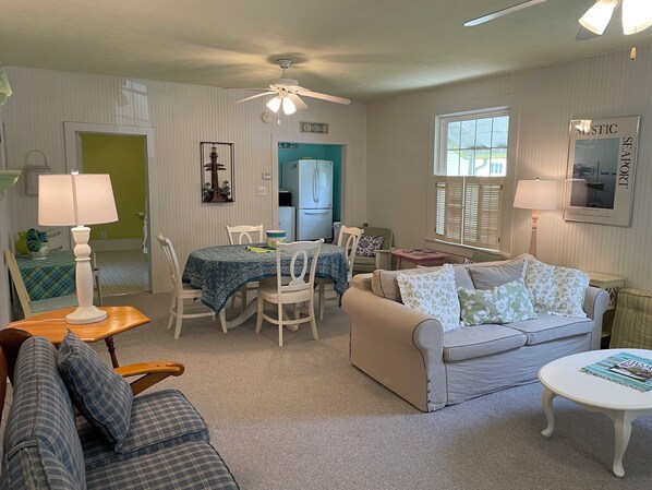 TV, DVD player, books, video library