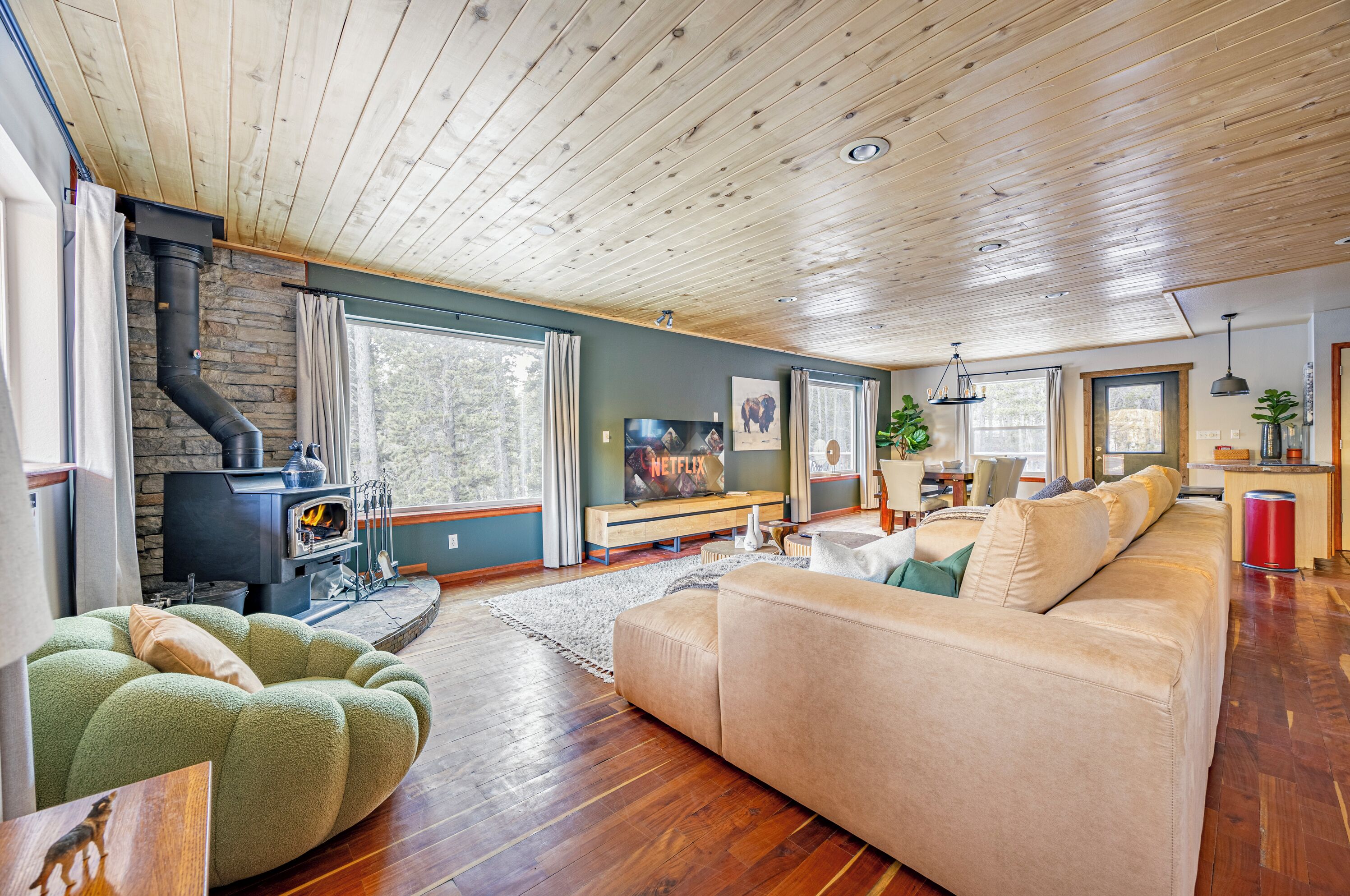 Smart TV, fireplace, ping pong, books
