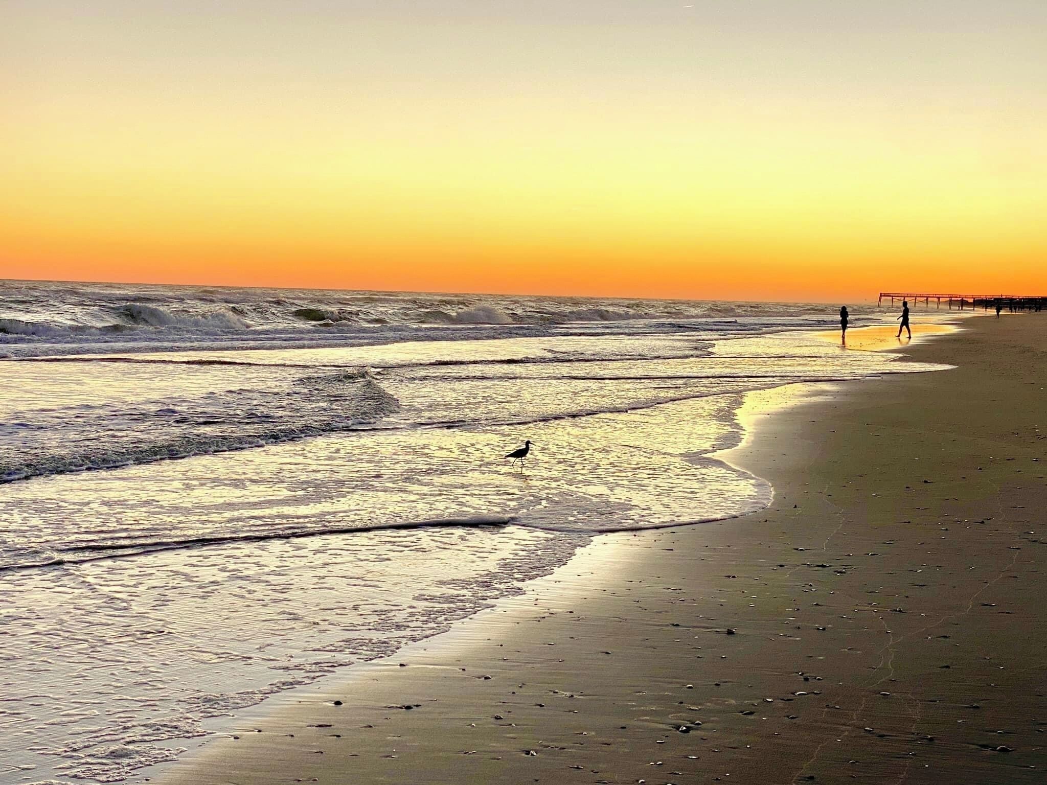 Strand