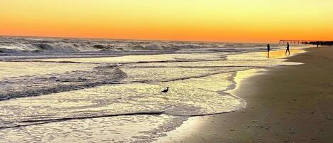 Strand