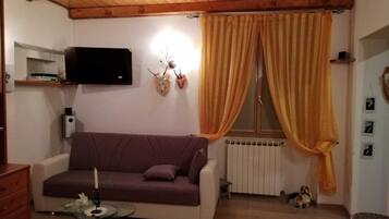 Smart-TV, DVD-Player, Bücher, Stereoanlage