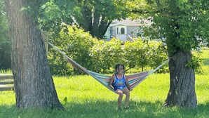 A hammock between two trees in a grassy area with a house in the background.