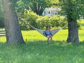 Property grounds - Inkster mi 420 friendly pets ok gathering friendly (Detroit)