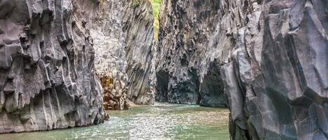 1 室のベッドルーム、アイロン / アイロン台、ベッドシーツ