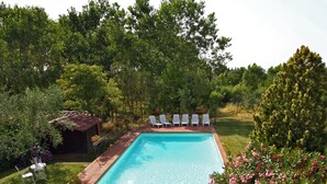 Una piscina rectangular rodeada por una zona verde con sillas de descanso blancas y un pequeño cobertizo.