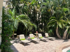 Terrace/patio - PInk Orchid Apartment (Palm Beach)