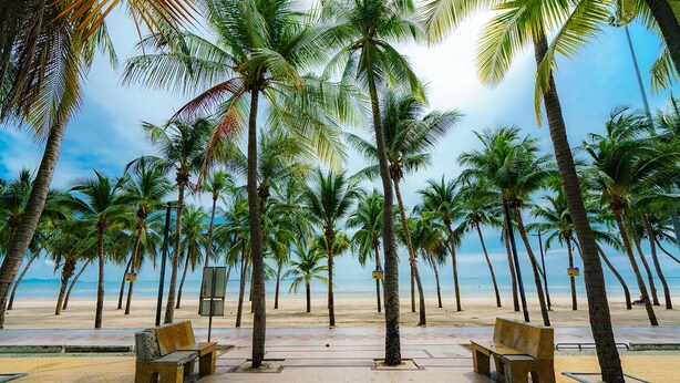 A beach with palm trees, benches, and a clear sky. - The Golden House @ Suvarnabhumi: Escape City Chaos, Gateway to Bangkok & Beyond! (Lat Krabang)