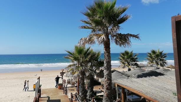Une plage bordée de palmiers, une terrasse en bois et une structure surmontée d’un toit de chaume.