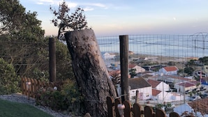 Une vue d’une ville côtière avec une clôture en bois, un grand arbre et un ciel dégagé.