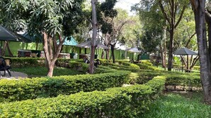 A park with neatly trimmed hedges, trees, and outdoor seating areas. - Jungle Green Resort - Kiutine (Maua)