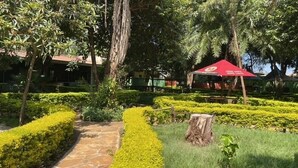 A landscaped garden with a stone pathway, neatly trimmed hedges, and a red umbrella structure. - Jungle Green Resort - Kiutine (Maua)