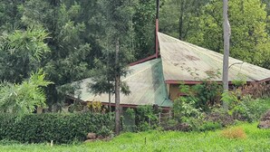 A traditional house with a sloped roof surrounded by dense greenery. - Jungle Green Resort - Kiutine (Maua)
