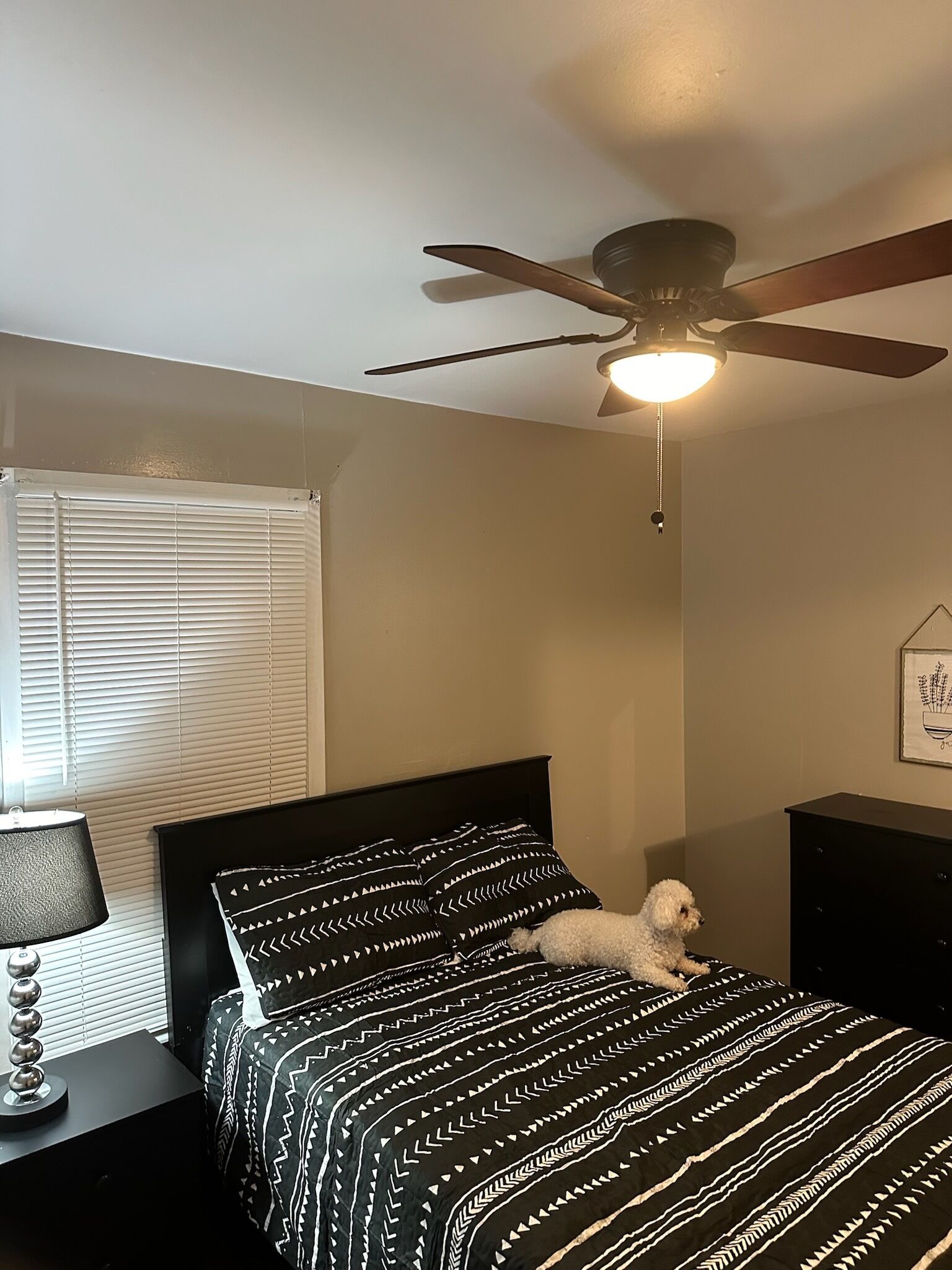 3 bedrooms, iron/ironing board, free WiFi, bed sheets