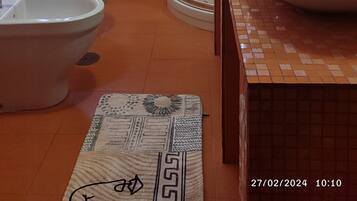 Douche, sĂšche-cheveux, bidet, serviettes fournies