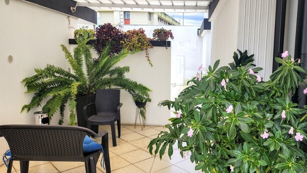 Un espacio al aire libre cubierto con un conjunto de asientos, plantas en macetas y vista del edificio al fondo.
