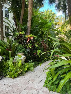 Property grounds - Sunny Orchid - Palm Beach - Pool (Palm Beach)