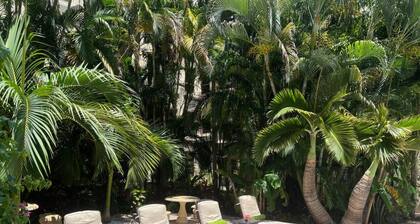 Sunny Orchid - Palm Beach - Pool