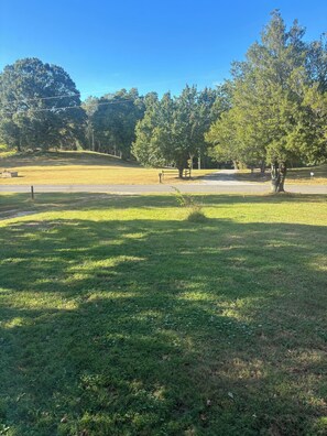 A grassy park area with trees and a paved path.