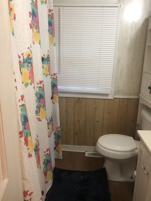 Sèche-cheveux, serviettes fournies, savon, papier toilette