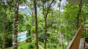 A lush garden with a pool, surrounded by tall trees and a wooden deck. - Coffee Routes Thekkady (Peermade)