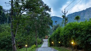 A paved pathway leading to a building surrounded by lush greenery and bamboo. - Coffee Routes Thekkady (Peermade)