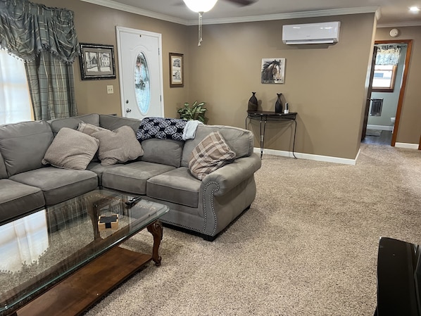 Smart TV, fireplace, DVD player, books