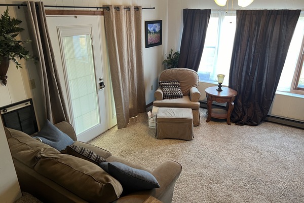 Smart TV, lareira, DVD player, livros