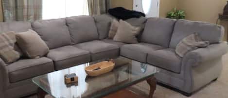 Smart TV, fireplace, DVD player, books