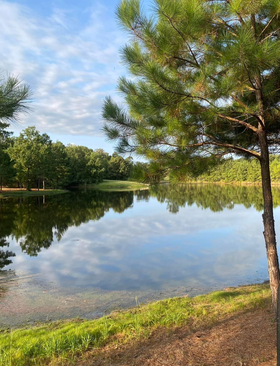 A tranquil lake with a clear reflection, surrounded by lush greenery and trees.