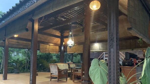 Un espace extérieur aménagé, abrité et doté de mobilier en bois, ainsi que d’une grande plante en pot.