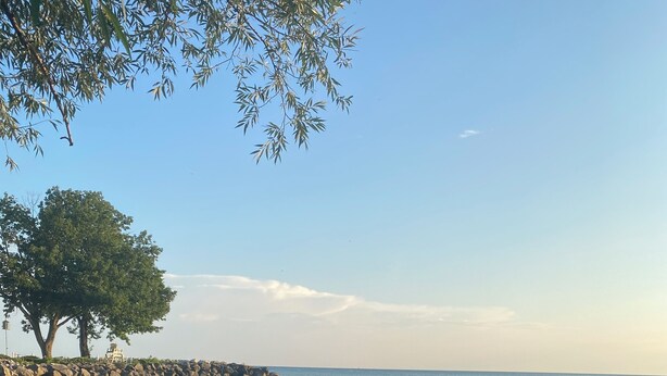 Une plage avec un affleurement rocheux, un arbre et un ciel dégagé.