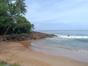 Une plage avec un rivage rocheux, des palmiers et une mer calme.