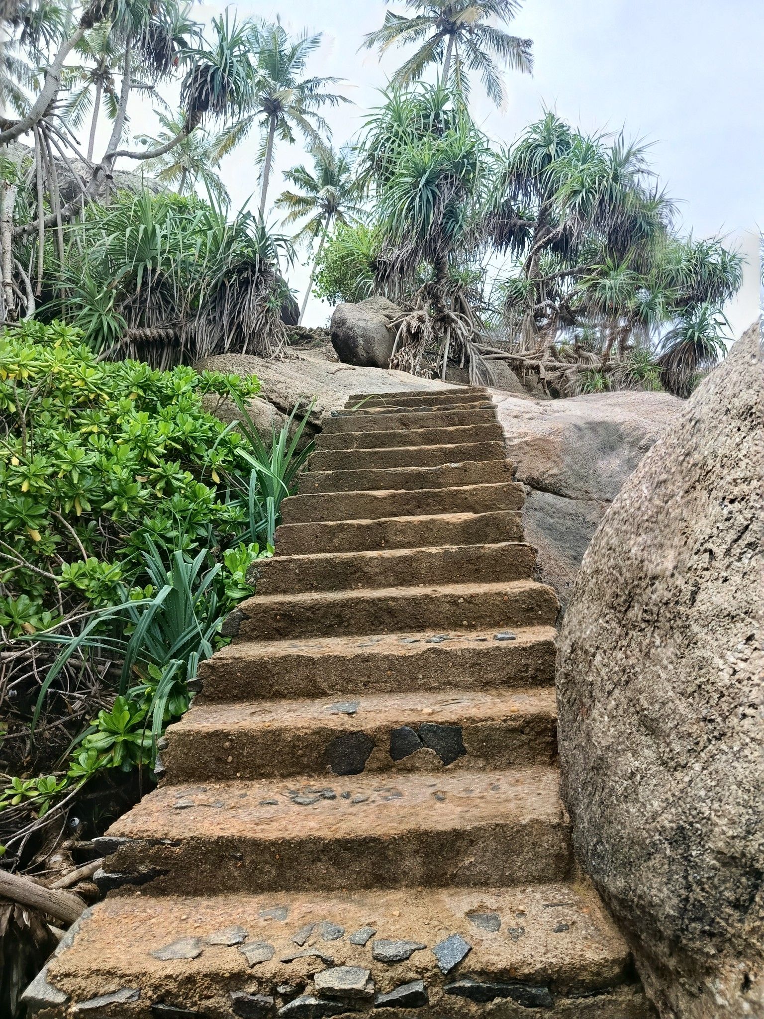 Unos escalones de piedra conducen cuesta arriba, rodeados de exuberante vegetación y palmeras.