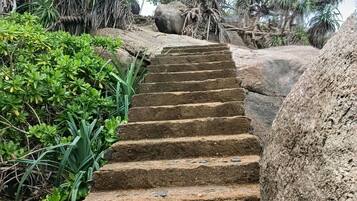 Unos escalones de piedra conducen cuesta arriba, rodeados de exuberante vegetación y palmeras.