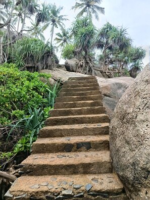 Un escalier en pierre menant au sommet d’une colline, entouré d’une végétation luxuriante et de palmiers.