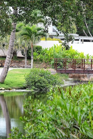 Property grounds - Seaside villa with housekeeping staff - Las Terrenas (Las Terrenas)