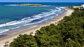 Vista costeira com praia, oceano e área arborizada.