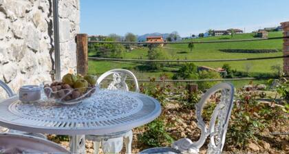 Apartment - 2 Bedrooms - 8951